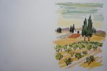Lot N° 50