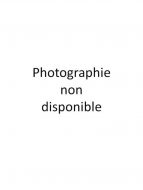 Lot N° 25
