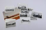 Lot 36
