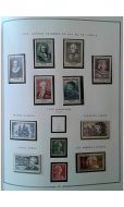 Lot 6