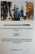 Lot N° 23