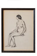 Lot N° 51
