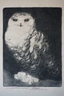 Lot N° 84