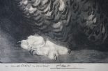 Lot N° 84