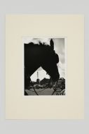 Lot_N°25