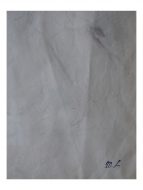 Lot N° 36
