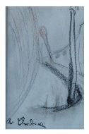 Lot N° 43_03