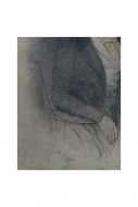 Lot N°102