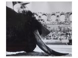 Lot N° 130
