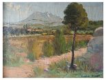 Lot N° 135