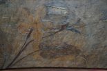 Lot 179_2