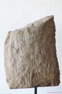 Lot 38_4