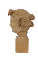 Lot 54154