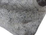 Lot 54339