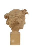 Lot 54154