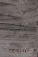 Lot 22_2