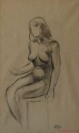 Lot 27_1