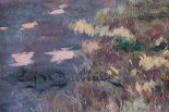 Lot 53_2