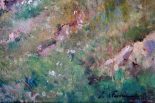 Lot 54_2