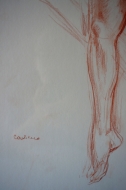 Lot 20_2