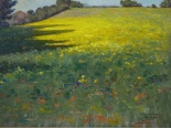 Lot 54949