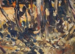 Lot 55025