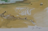 Lot 55037