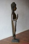 Lot N° 156