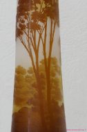 Lot N° 55