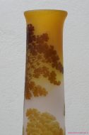 Lot N° 55