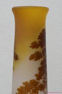 Lot N° 55
