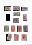 Lot_24_1