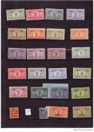 Lot_30_2