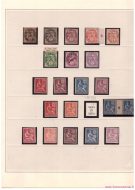 Lot_8_3