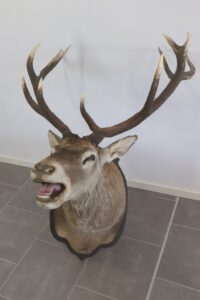 MOA-10072021-Lot 192-image