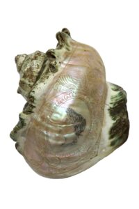 Mobilier et objets d'art du 4 mai 2024 Lot 98-image