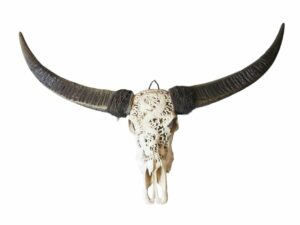 Vente judiciaire du 21 avril 2026 - Lot 2-image