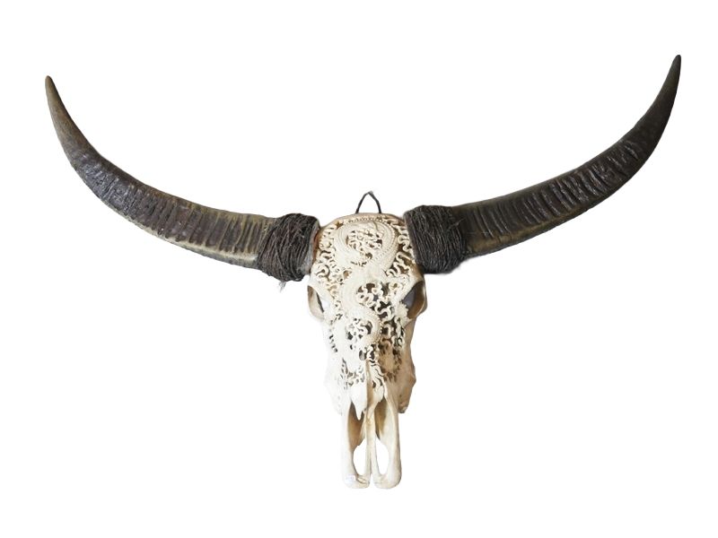 Vente judiciaire du 21 avril 2026 - Lot 2-image